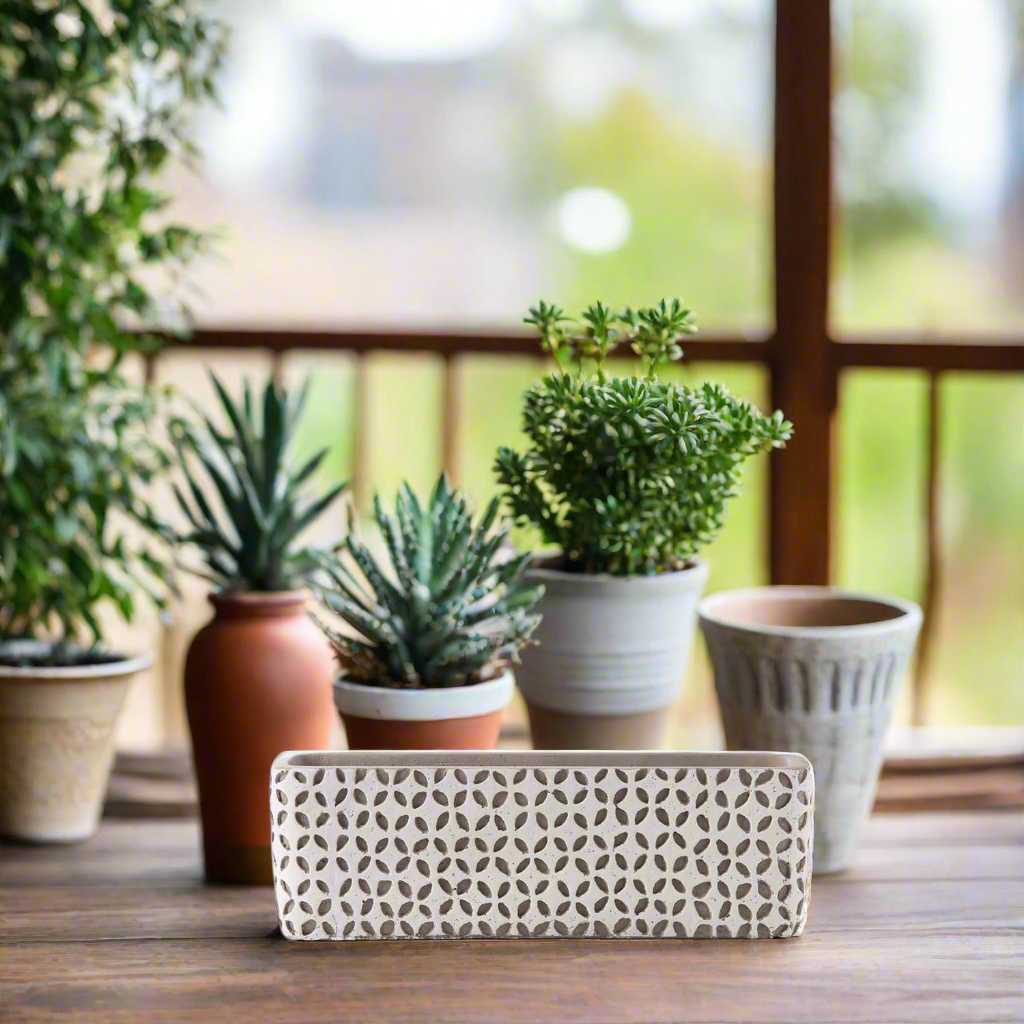 Beverly Cement Low Oval Pot