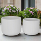 Orvane Gloss White Planter Set (Set of 2)