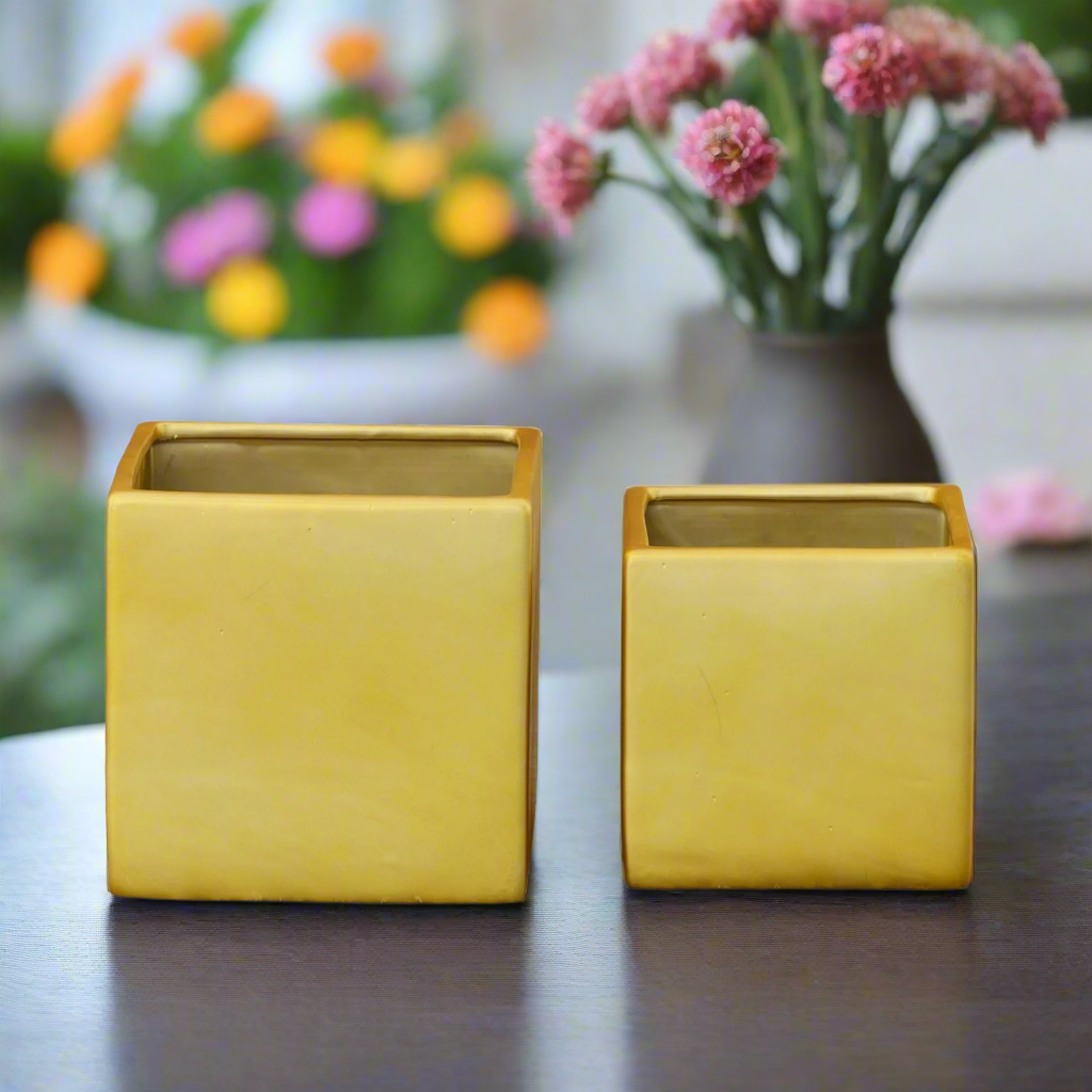 Odette Handcrafted Ceramic Square Planter Set (Set of 2)