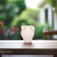 Jenavyr Ceramic Vase