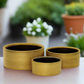 Serena Ceramic Round Pot (Set of 3)