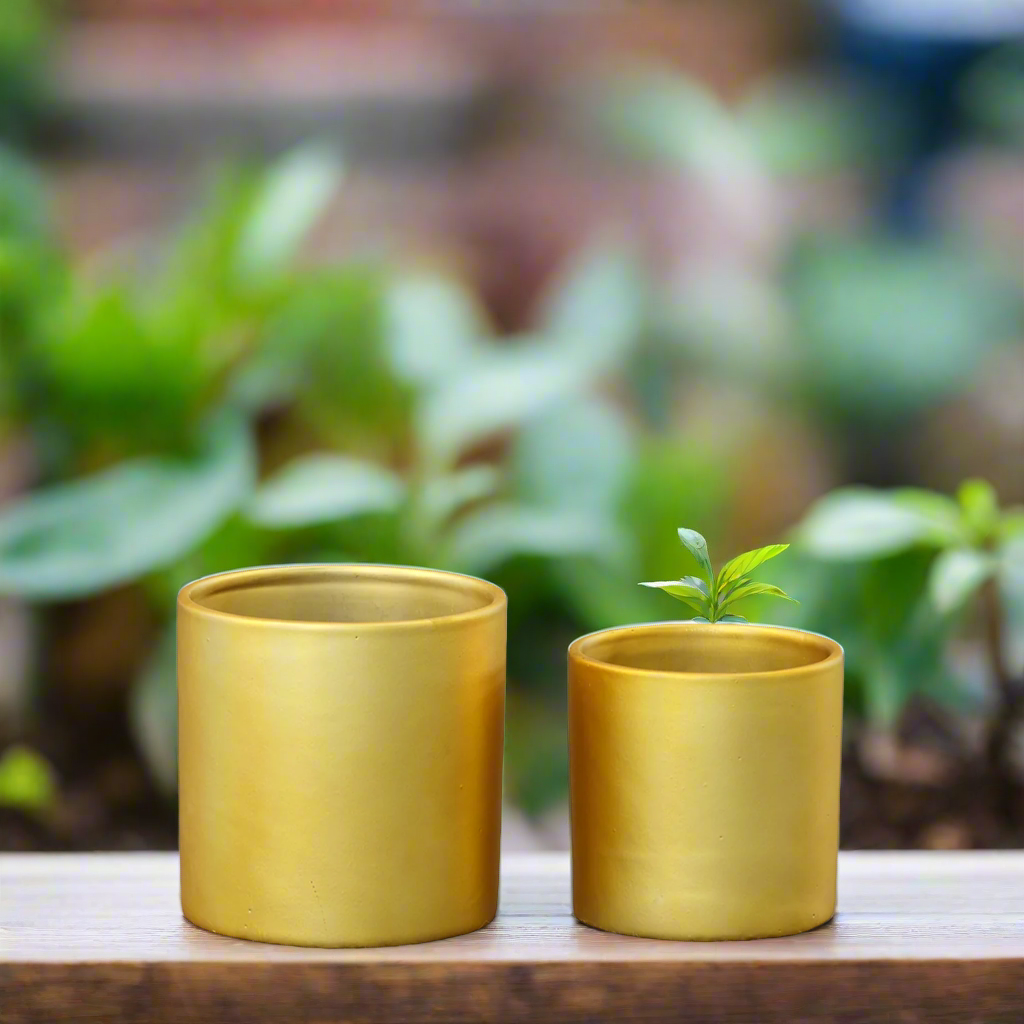 Ollie Ceramic Plain Round Pot (Set of 2)