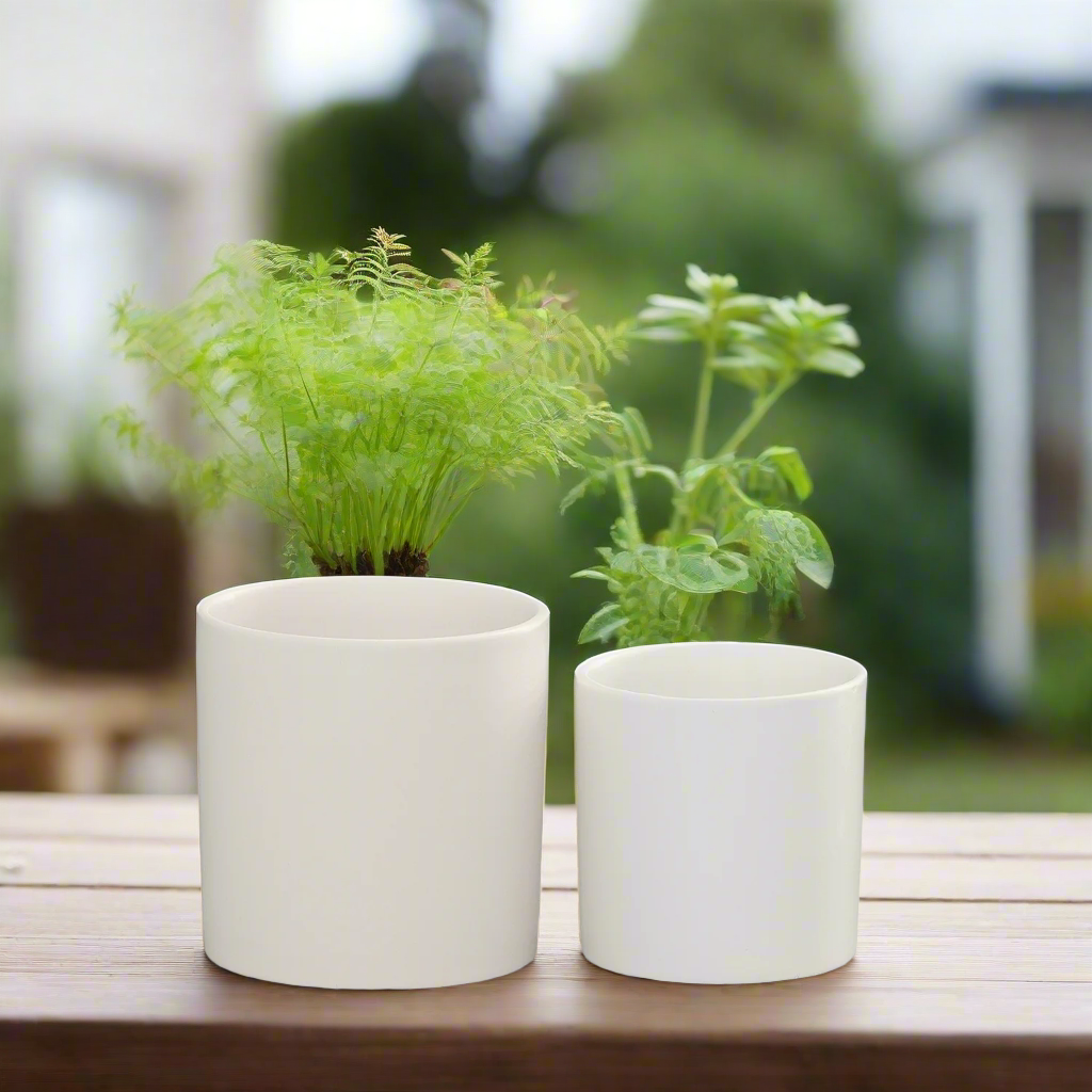 Ollie Ceramic Plain Round Pot (Set of 2)