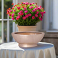 Bianca Polystone Boat Planter
