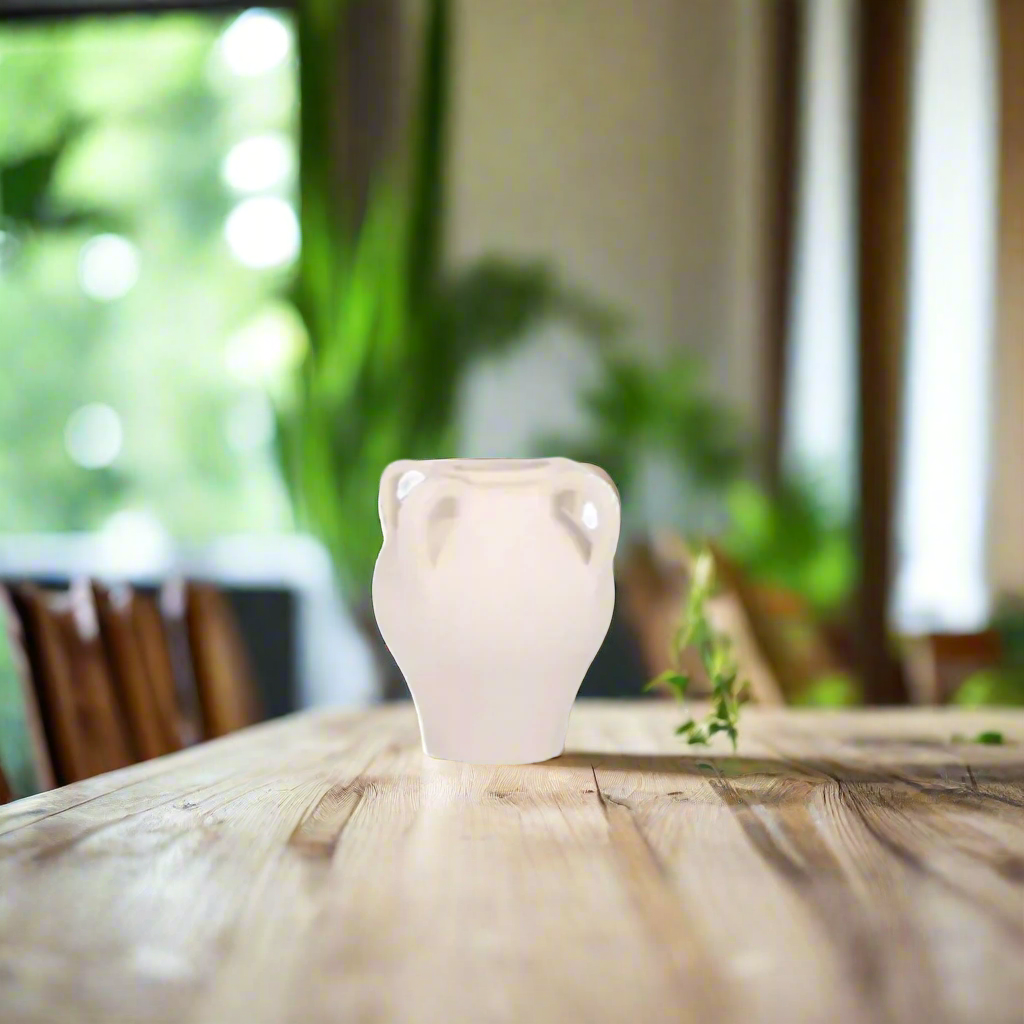 Jenavyr Ceramic Vase
