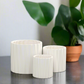 Olenna Textured Ceramic Pot Set (Set of 3)