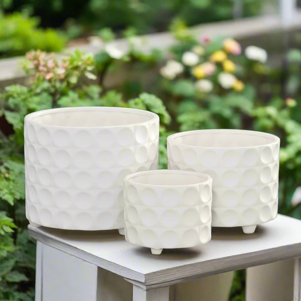 Caelum Ceramic Planter Set (Set of 3)