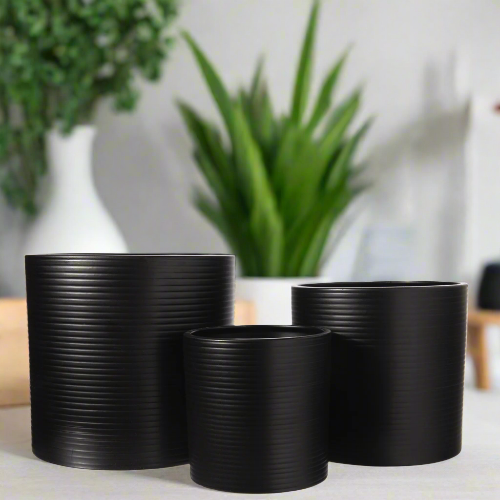 Olenna Textured Ceramic Pot Set (Set of 3)