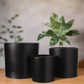 Olenna Textured Ceramic Pot Set (Set of 3)