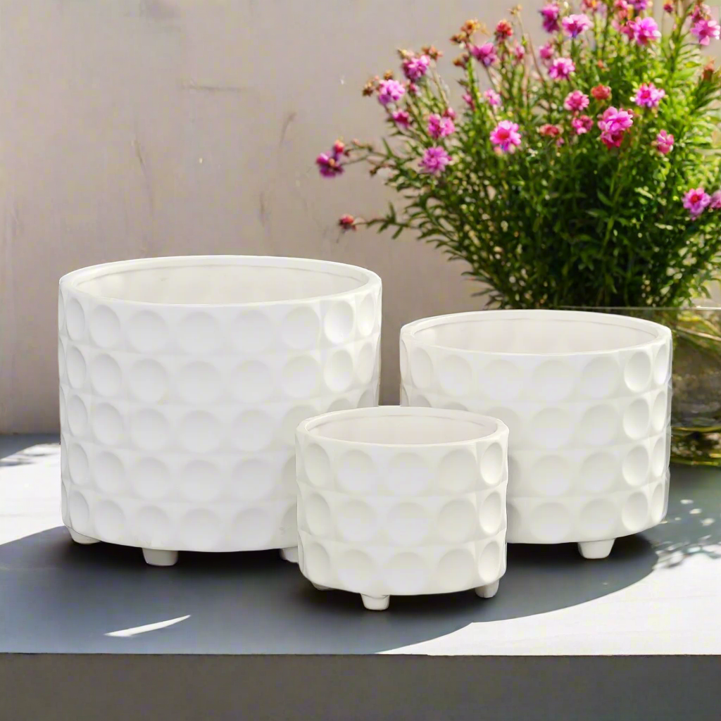 Caelum Ceramic Planter Set (Set of 3)