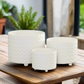 Caelum Ceramic Planter Set (Set of 3)