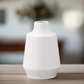 Xandra Ceramic Round Short Neck Vase