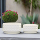 Yvessa Dotted Oval Ceramic Planter Set (Set of 2)
