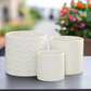 Alene Ceramic Round Planter Set (Set of 3)