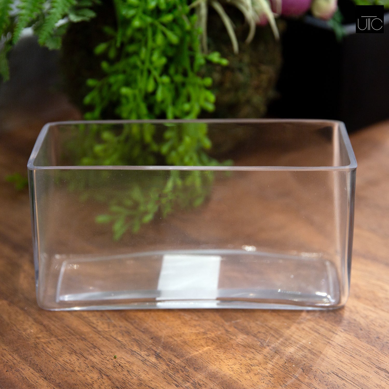 Elaris Rectangular Clear Glass Trough – Urban Trends Collection