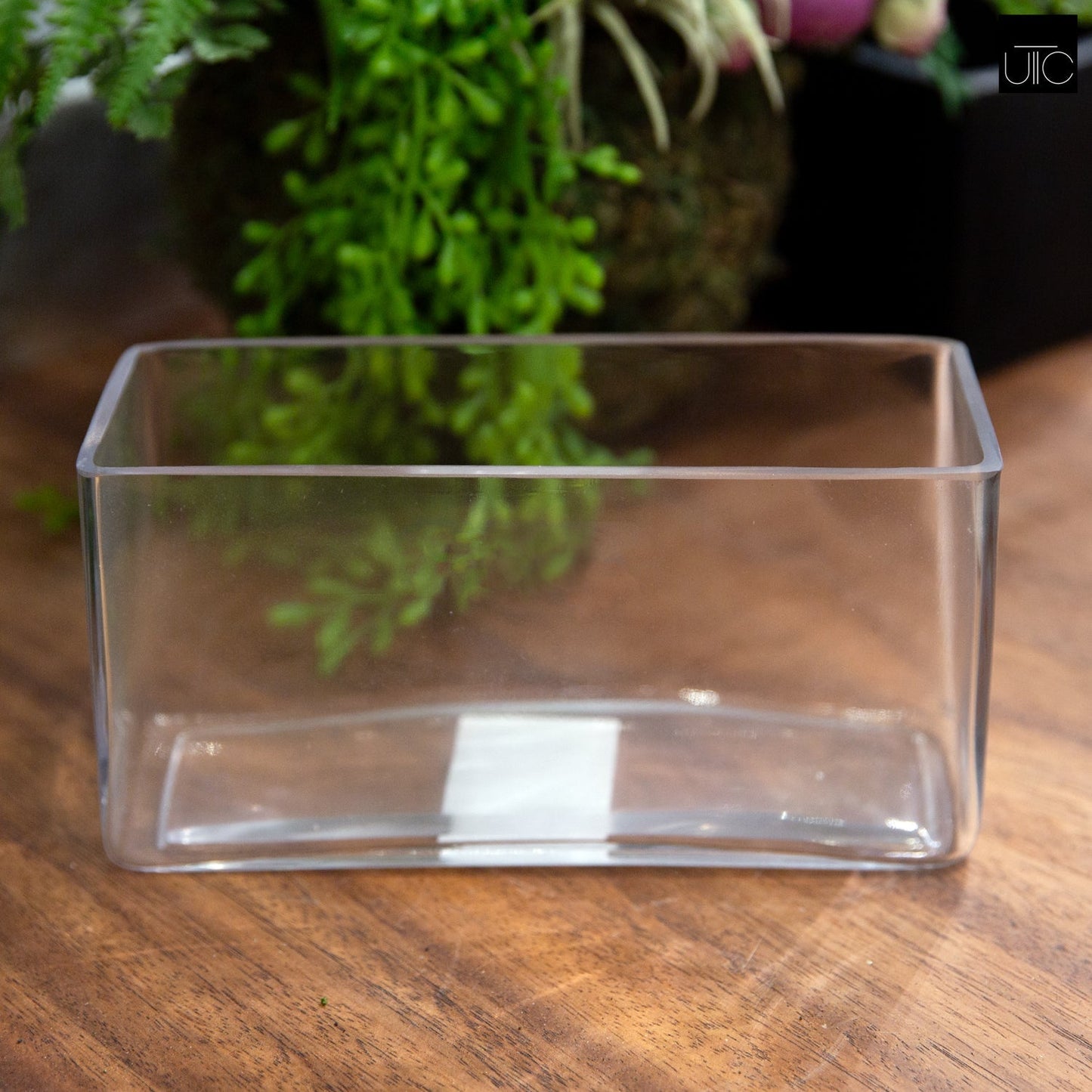 8x3x4 Rectangle Clear Glass-Urban Trends Collection-Urban Trends Collection